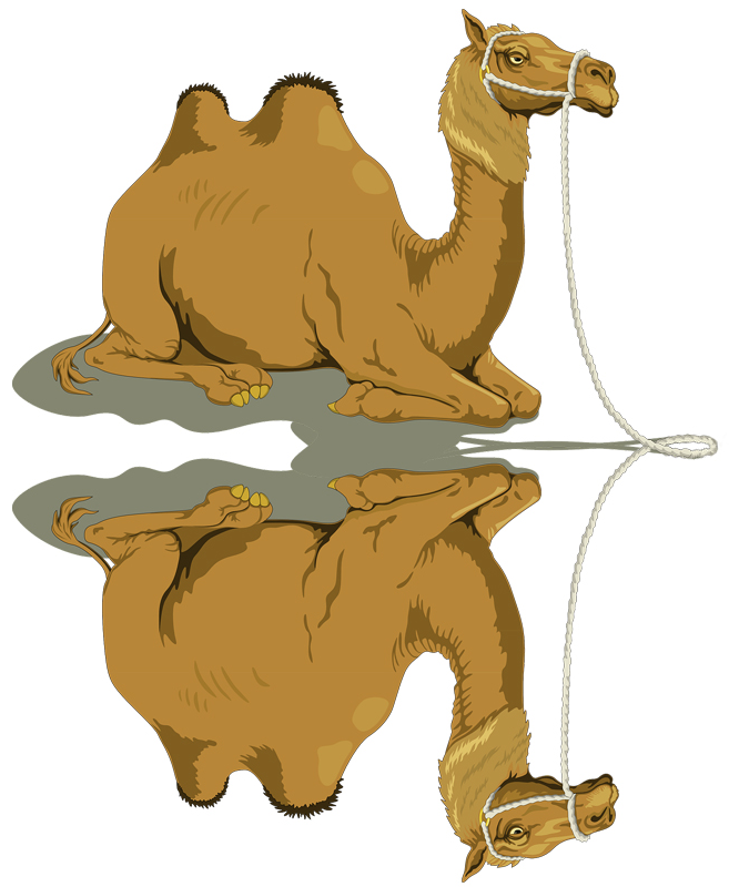 camel basketball clipart