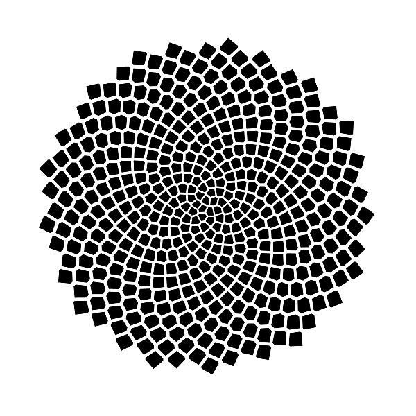 fibonacci spiral design